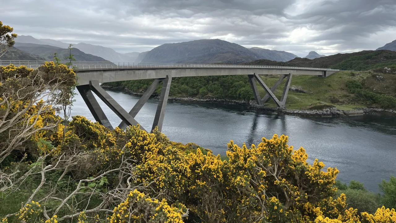 A curved concrete bridge crossing a stretch of water between hills, with yellow gorse in the foreground